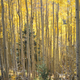 Image for article titled 76 Stunning Photos Of Fall Leaves